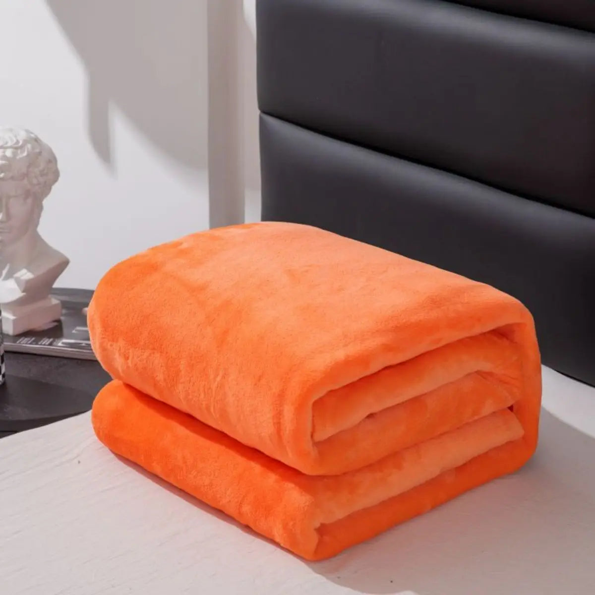 CozyNest: Thick Plush Blanket Cover