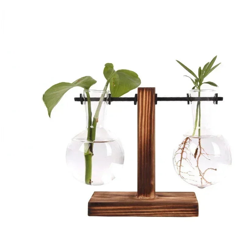 AquaBloom: Hydroponic Glass Terrarium Vase