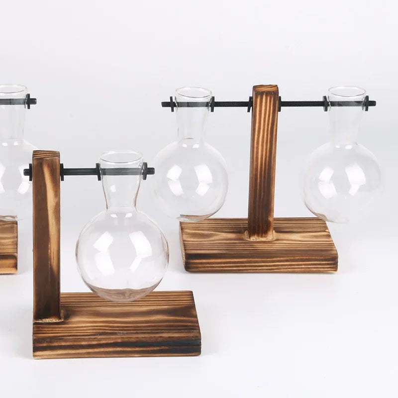 AquaBloom: Hydroponic Glass Terrarium Vase