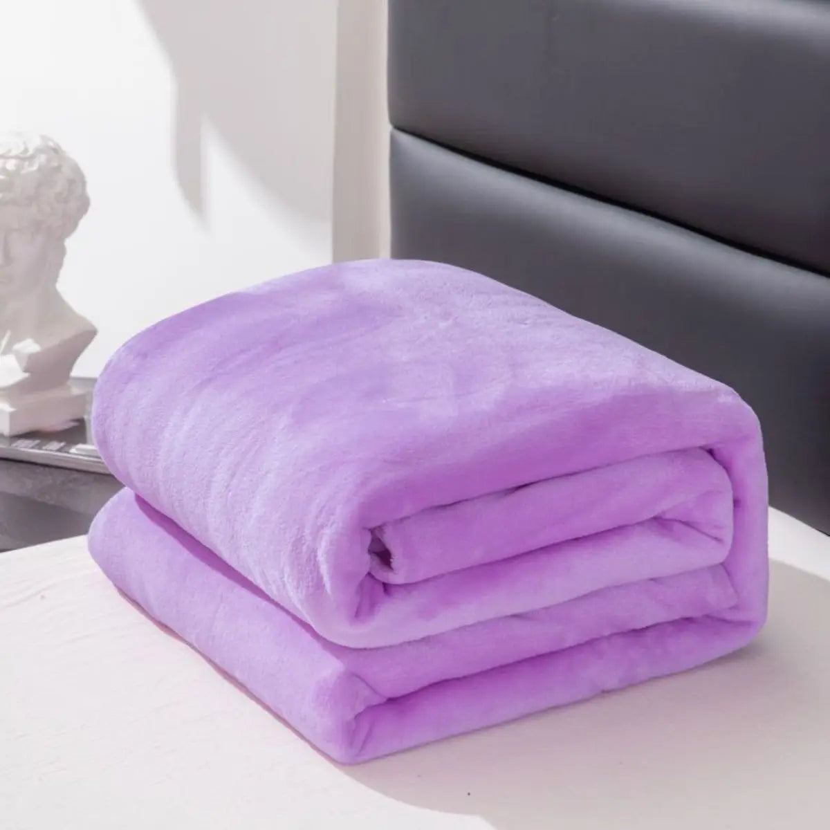 CozyNest: Thick Plush Blanket Cover