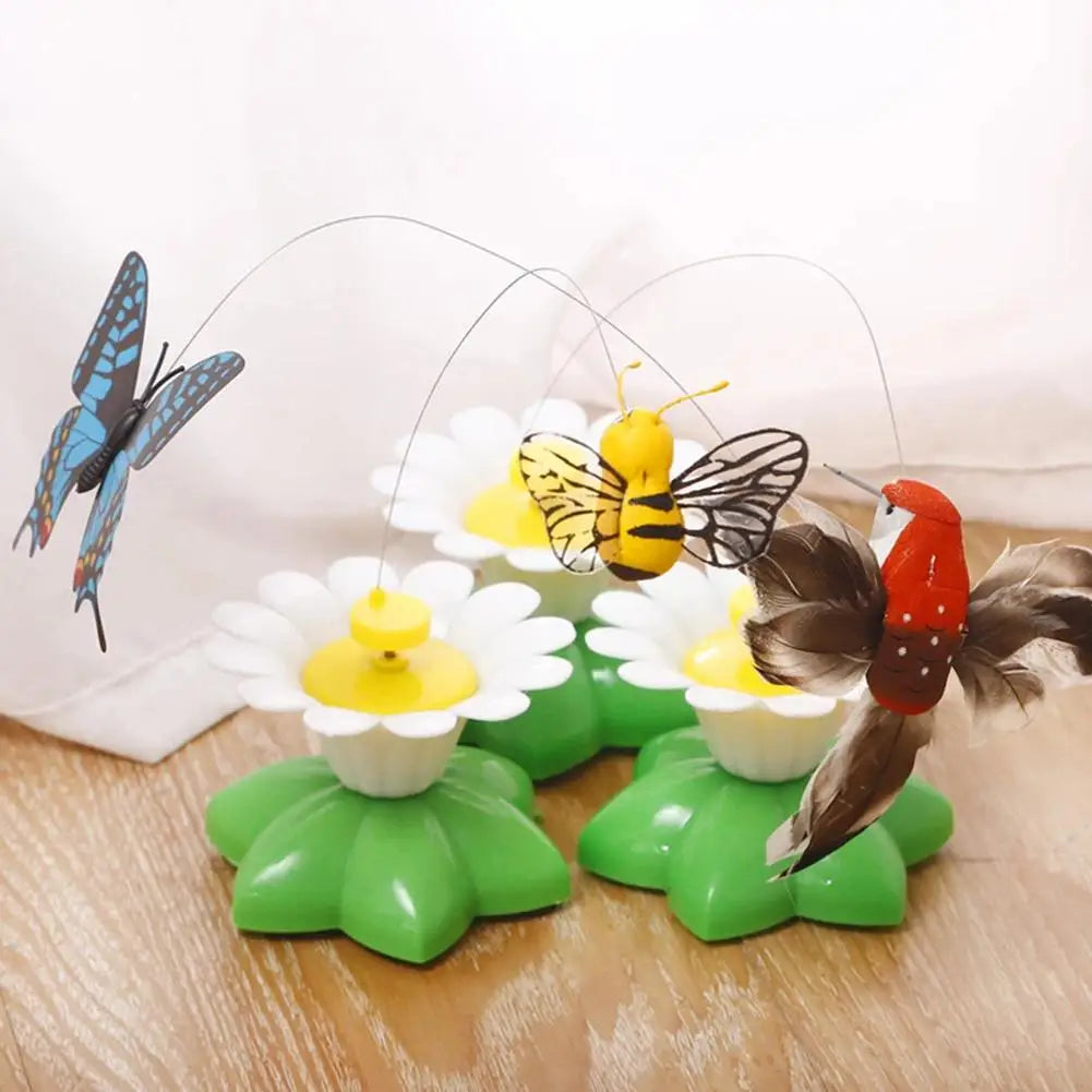 Electric Butterfly & Hummingbird Cat Toy