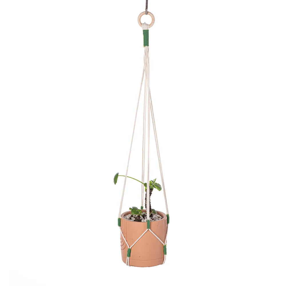 Handmade Macrame Plant Hanger