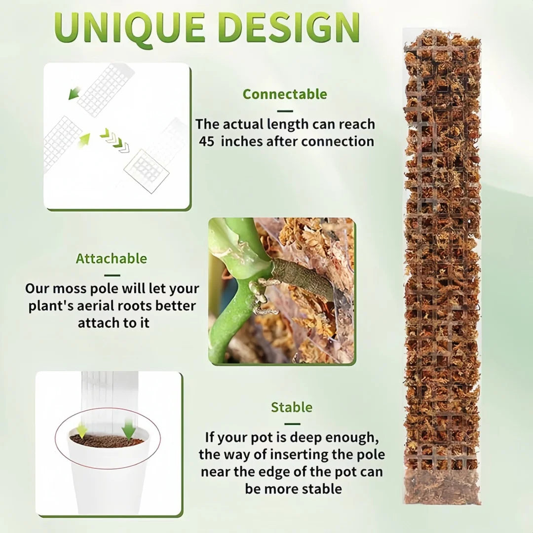 LeafLift: Indoor Climbing Plant Support Pole