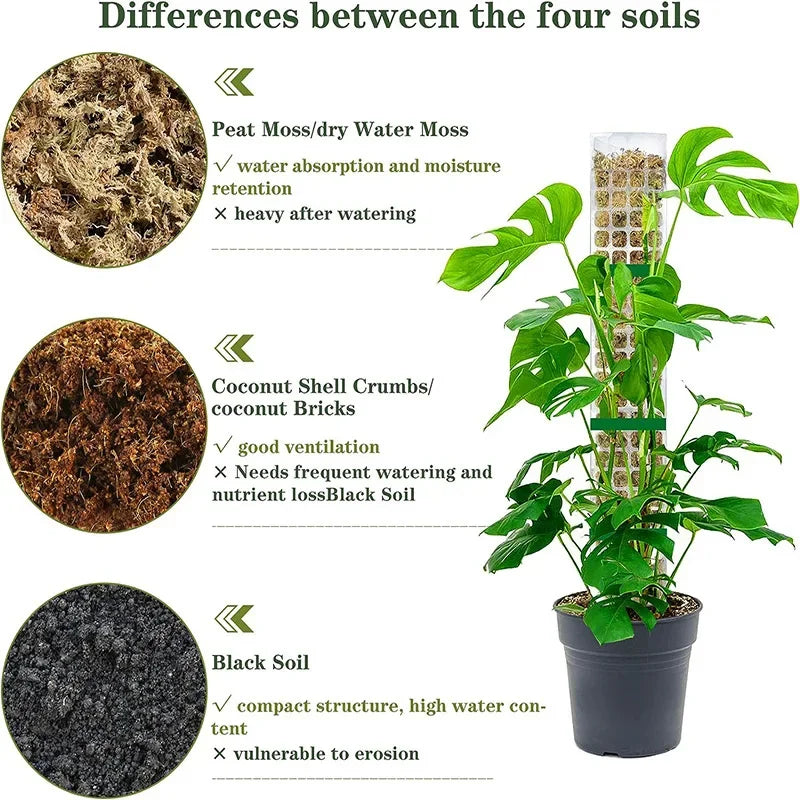 LeafLift: Indoor Climbing Plant Support Pole