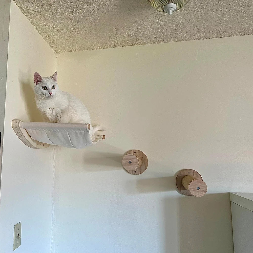 PurrPark: Wall-Mounted Cat Playground & Lounge