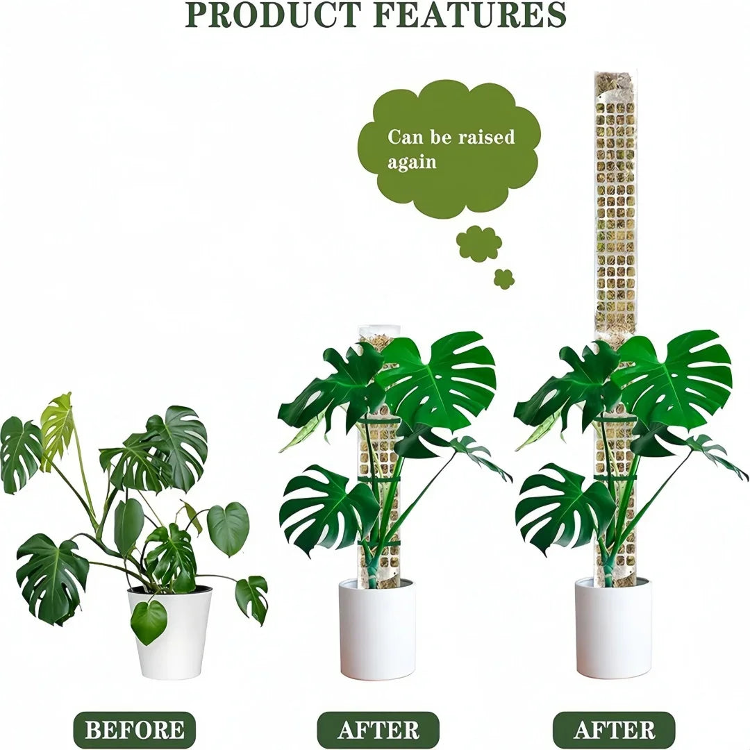 LeafLift: Indoor Climbing Plant Support Pole