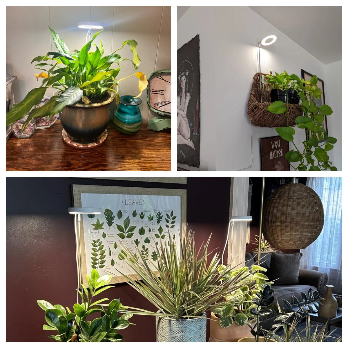 GrowRay: Full Spectrum Telescopic LED Plant Light