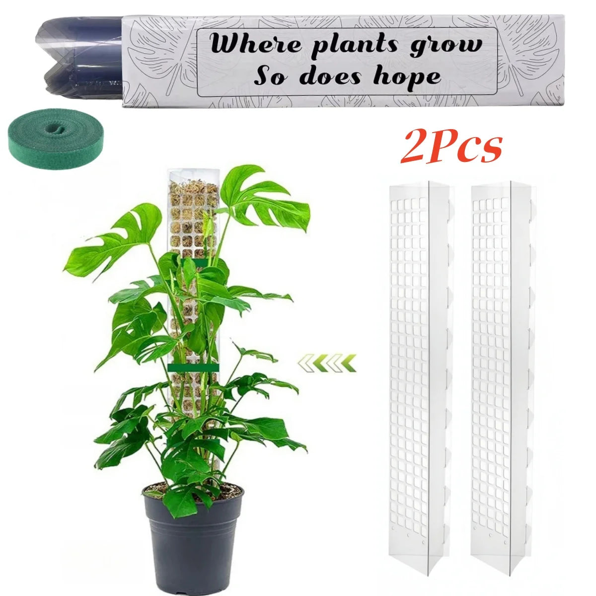LeafLift: Indoor Climbing Plant Support Pole