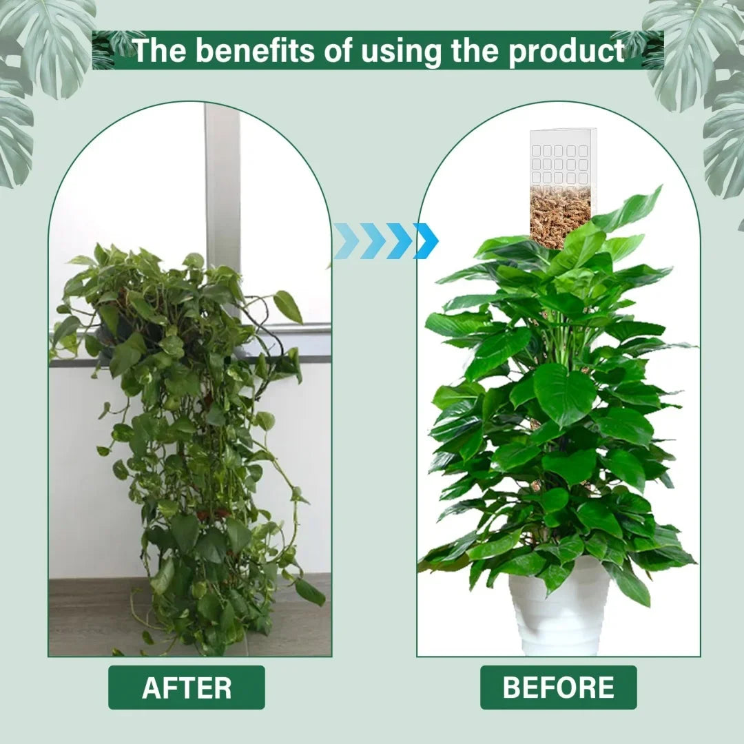 LeafLift: Indoor Climbing Plant Support Pole
