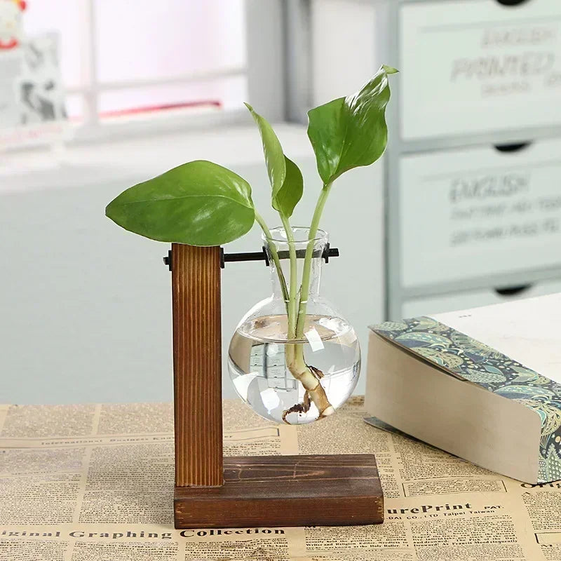 AquaBloom: Hydroponic Glass Terrarium Vase