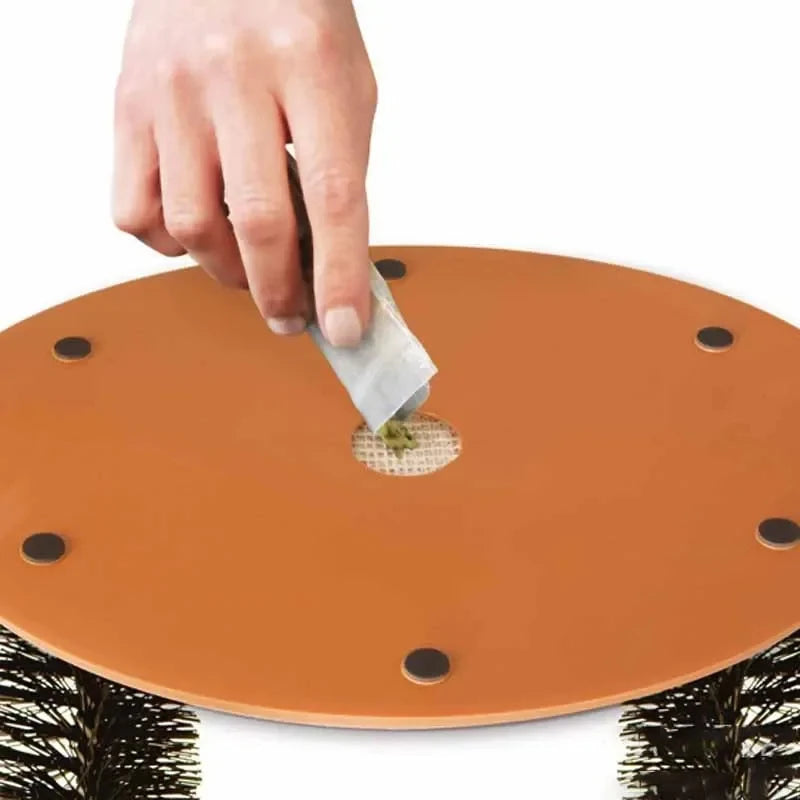 Self-Grooming Cat Arch with Scratch Pad