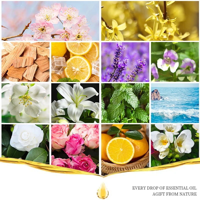 Aroma Diffuser & Air Humidifier 14 Pcs Fragrance