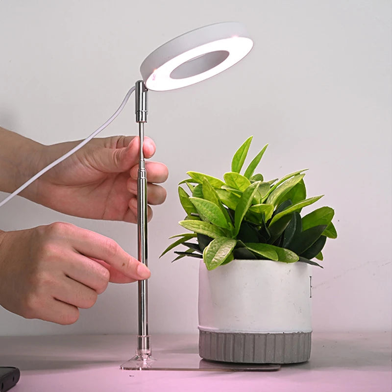 GrowRay: Full Spectrum Telescopic LED Plant Light