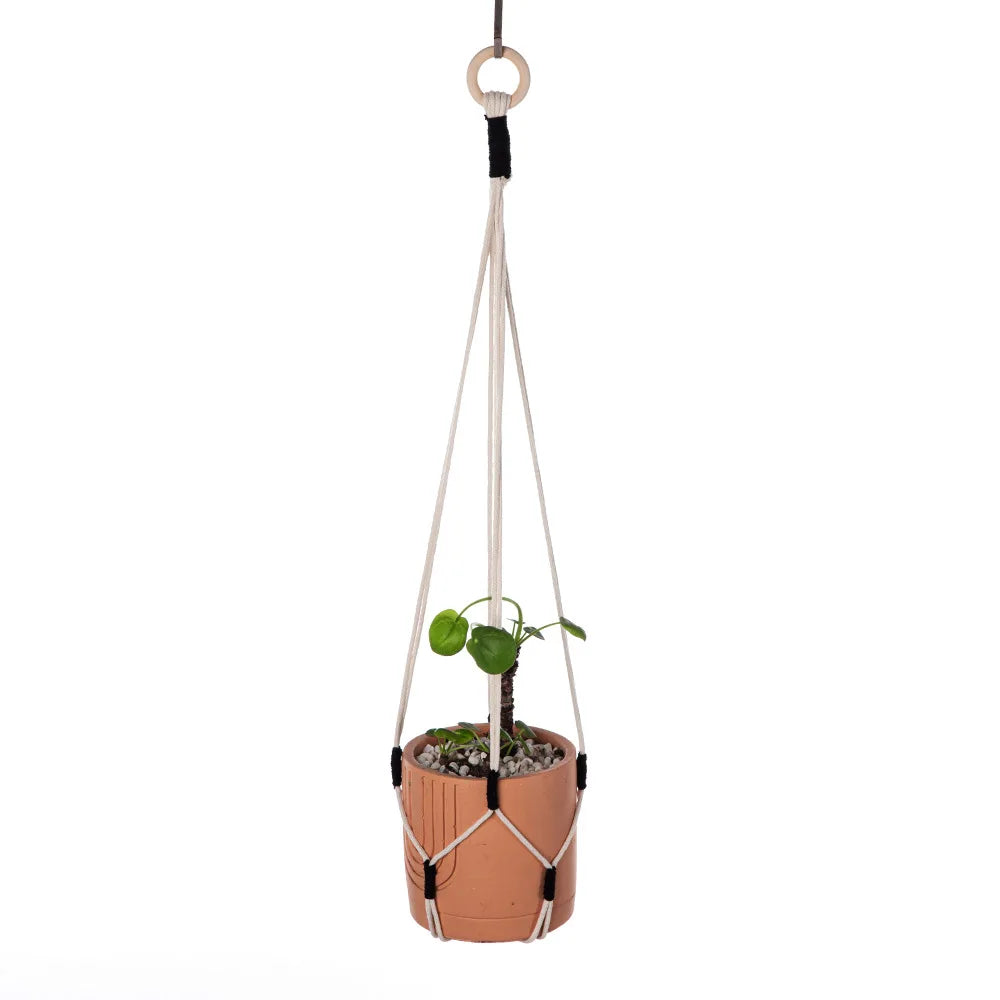 Handmade Macrame Plant Hanger