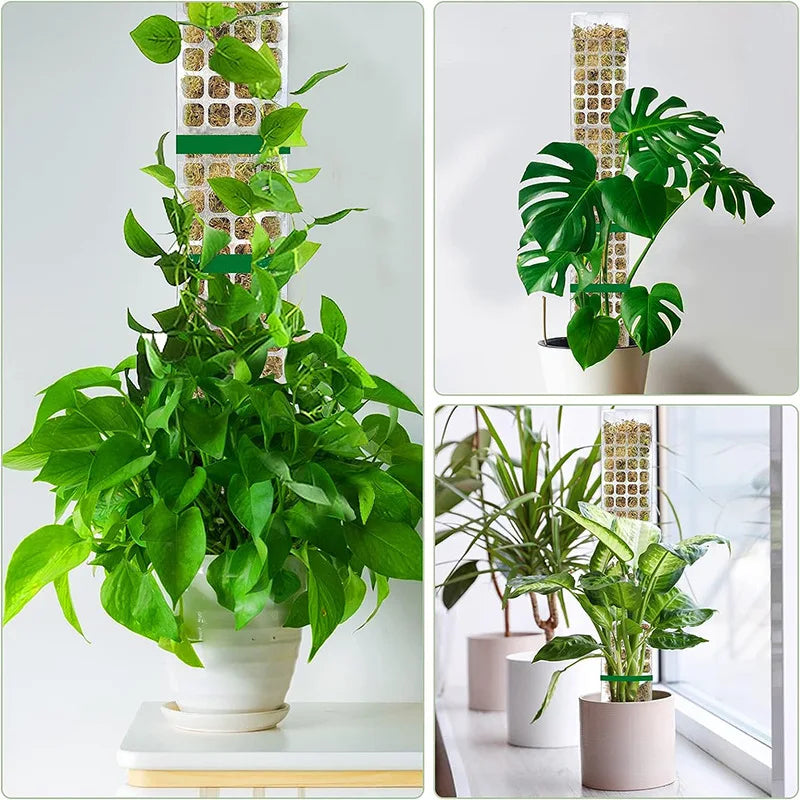 LeafLift: Indoor Climbing Plant Support Pole