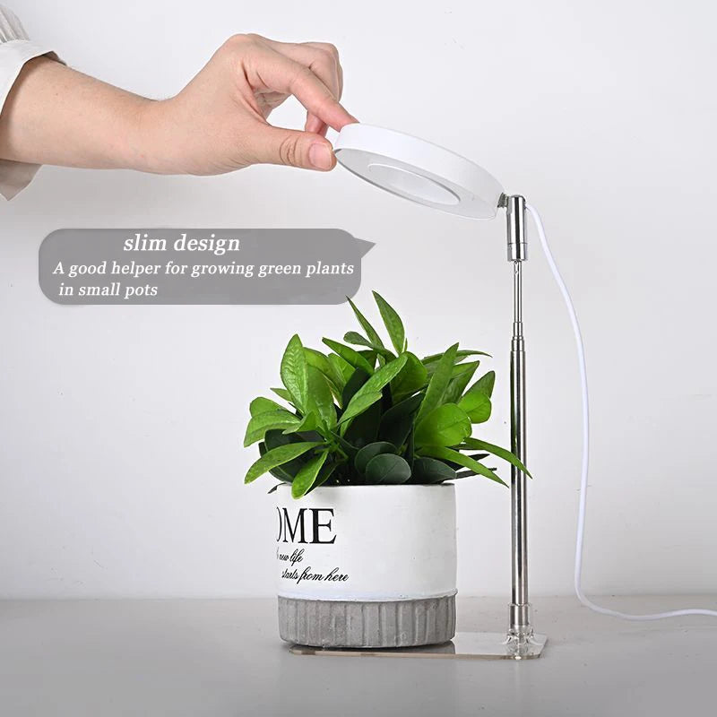 GrowRay: Full Spectrum Telescopic LED Plant Light