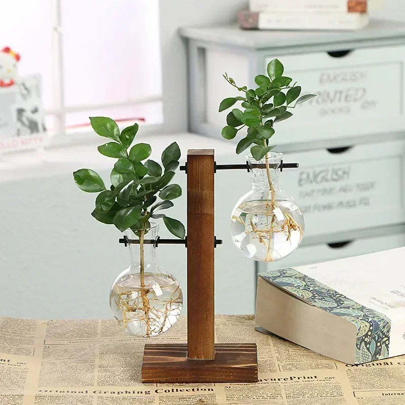 AquaBloom: Hydroponic Glass Terrarium Vase