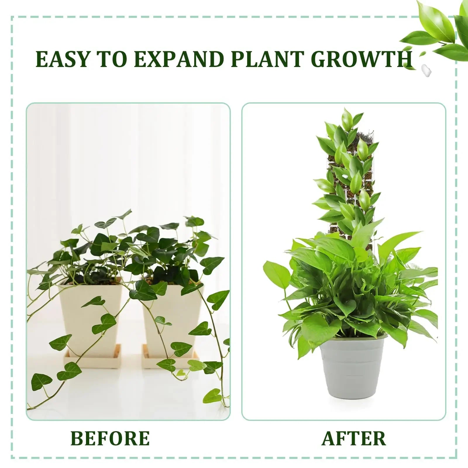 LeafLift: Indoor Climbing Plant Support Pole