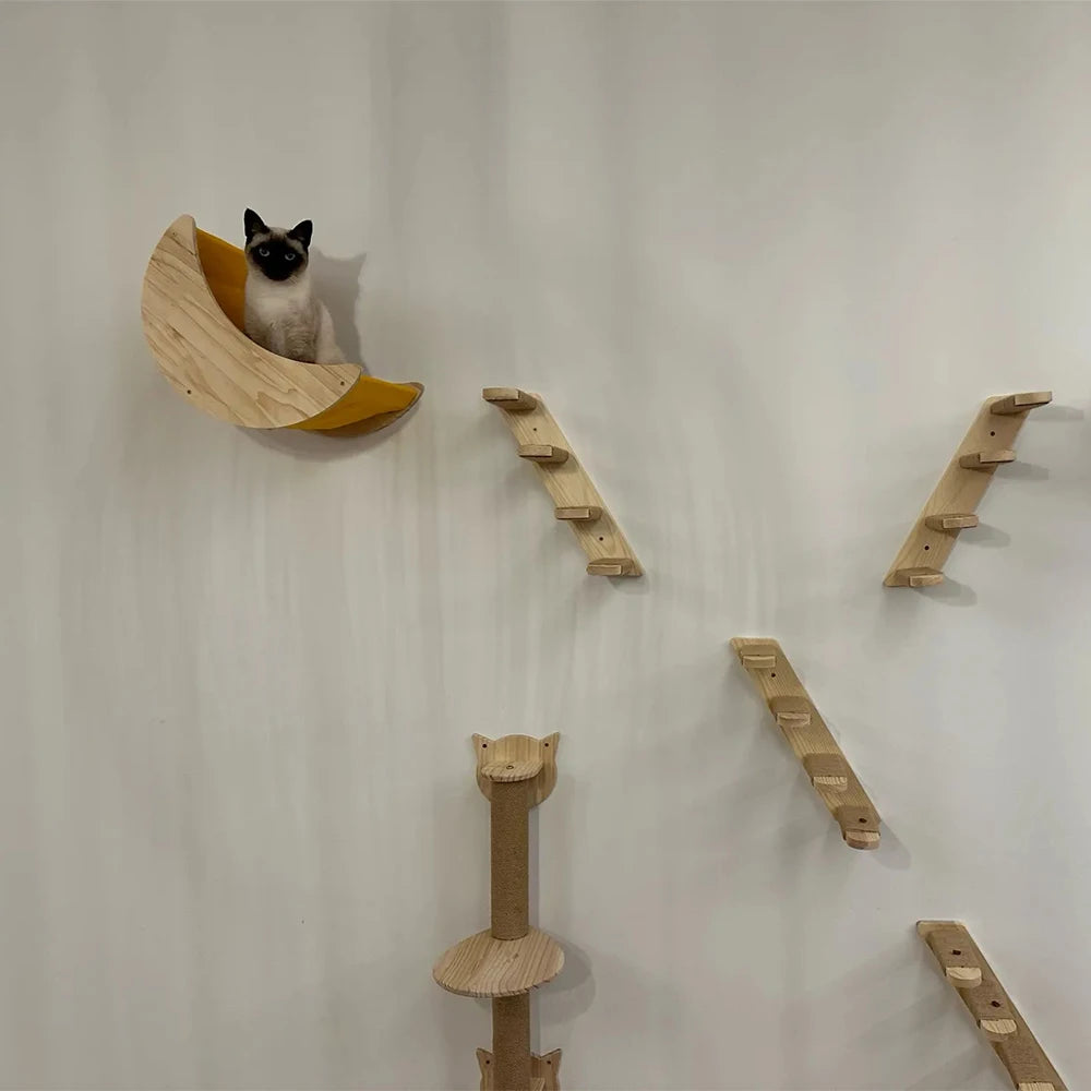 PurrPark: Wall-Mounted Cat Playground & Lounge