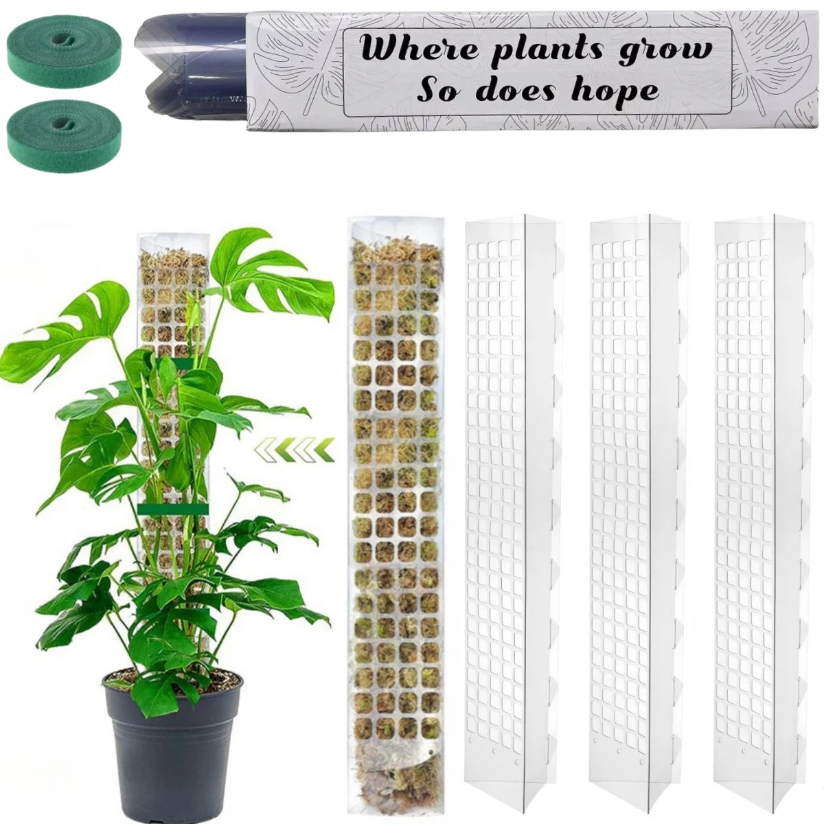 LeafLift: Indoor Climbing Plant Support Pole