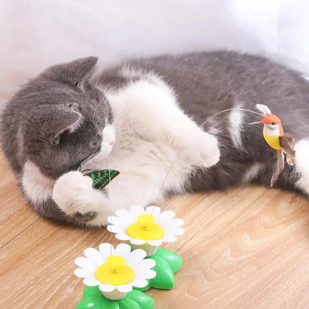 Electric Butterfly & Hummingbird Cat Toy