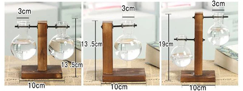 AquaBloom: Hydroponic Glass Terrarium Vase