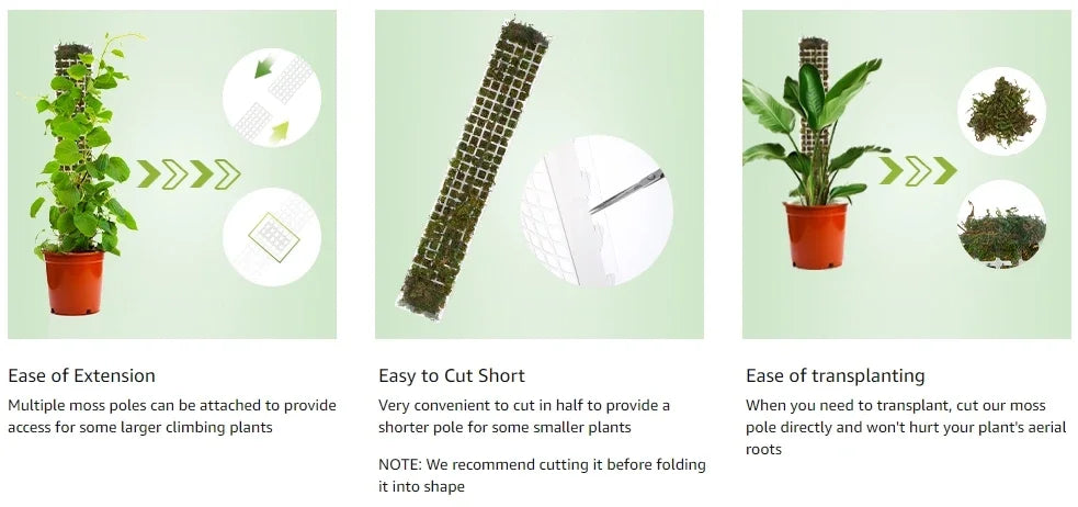 LeafLift: Indoor Climbing Plant Support Pole