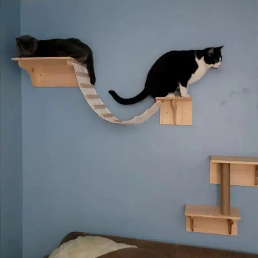 PurrPark: Wall-Mounted Cat Playground & Lounge