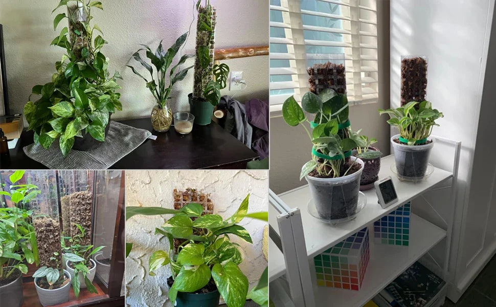 LeafLift: Indoor Climbing Plant Support Pole