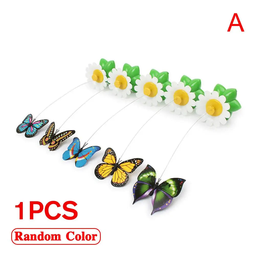 Electric Butterfly & Hummingbird Cat Toy