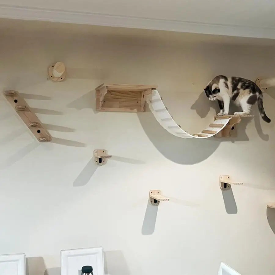 PurrPark: Wall-Mounted Cat Playground & Lounge