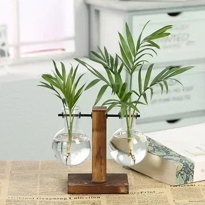 AquaBloom: Hydroponic Glass Terrarium Vase