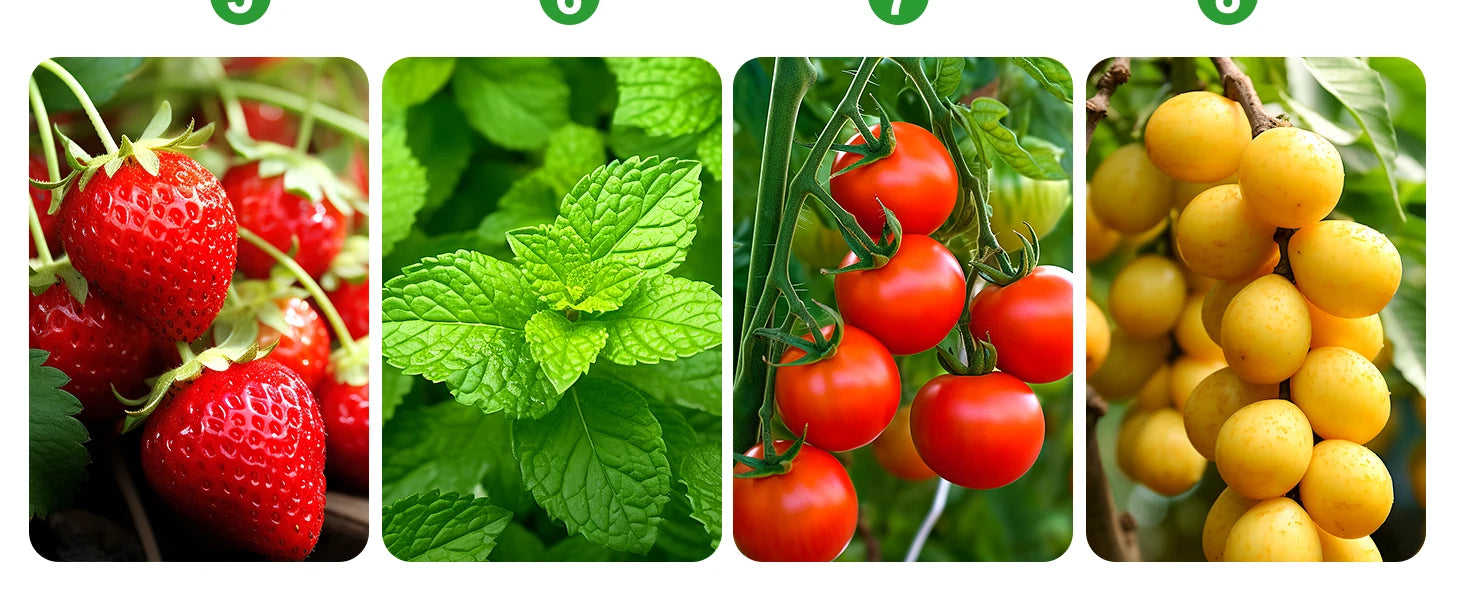 Seed Starter Tray with Grow Lights & Humidity Dome