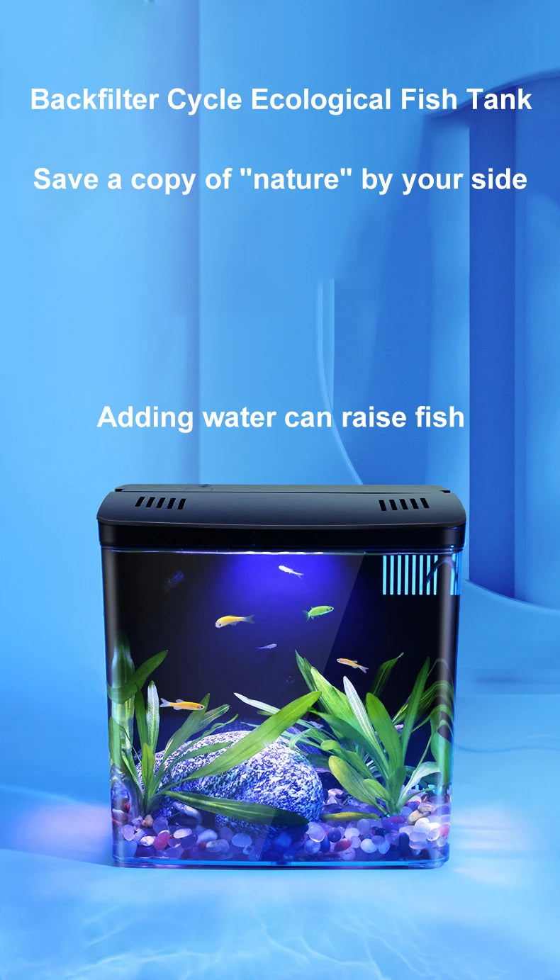 ZenTank: Eco-Friendly Mini Aquarium with Filter System