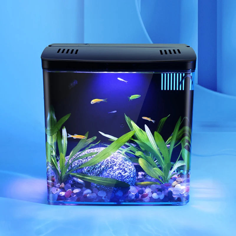 ZenTank: Eco-Friendly Mini Aquarium with Filter System
