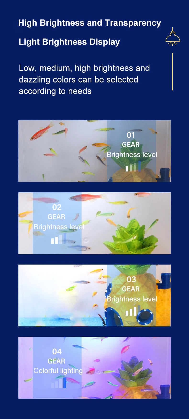 ZenTank: Eco-Friendly Mini Aquarium with Filter System