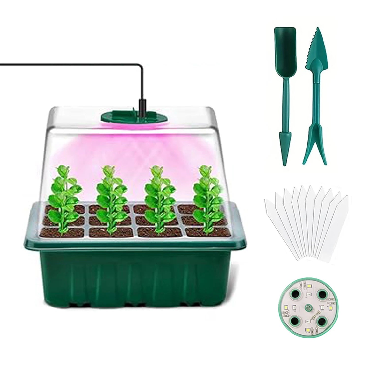 Seed Starter Tray with Grow Lights & Humidity Dome